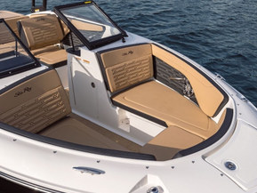 Sea Ray 190 SPX
