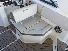 Sea Ray 250 SDX Outboard