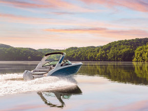 Sea Ray 250 SDX Outboard