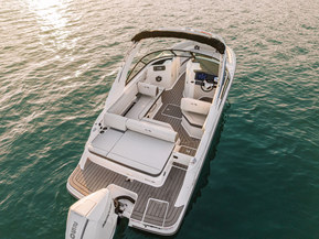 Sea Ray 250 SDX Outboard