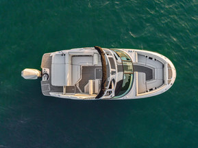 Sea Ray 250 SDX Outboard