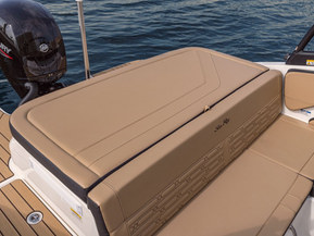 Sea Ray 190 SPX Outboard