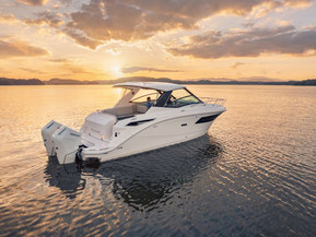 Sea Ray 320 Sundancer Outboard