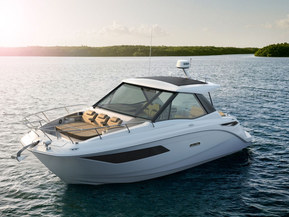 Sea Ray 320 Sundancer