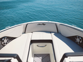 Sea Ray 210 SPX Outboard