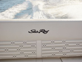 Sea Ray 210 SPX Outboard