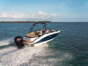 Sea Ray 190 SPX Outboard