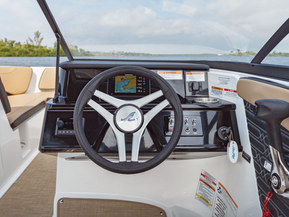 Sea Ray 190 SPX Outboard