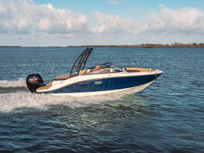 Sea Ray 190 SPX Outboard