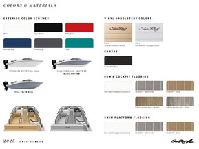 Sea Ray 210 SPX Outboard