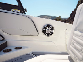 Sea Ray 210 SPX Outboard