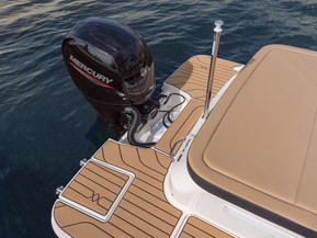 Sea Ray 190 SPX Outboard