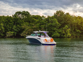 Sea Ray 320 Sundancer