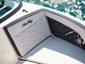 Sea Ray 210 SPX Outboard