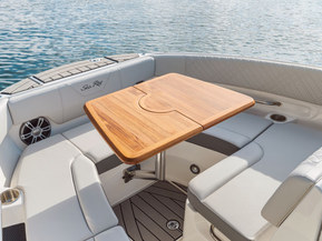 Sea Ray 250 SDX