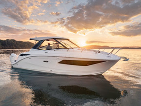 Sea Ray 320 Sundancer Outboard