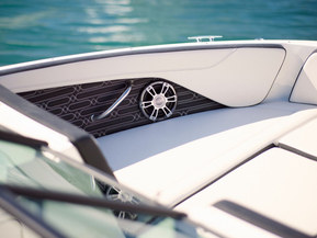 Sea Ray 210 SPX Outboard