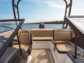 Sea Ray 190 SPX Outboard