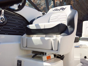 Sea Ray 210 SPX Outboard