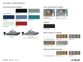 Sea Ray 250 SDX Outboard