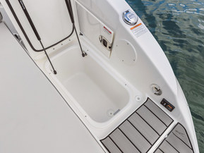Sea Ray 250 SDX