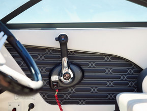 Sea Ray 210 SPX Outboard