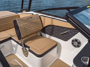 Sea Ray 190 SPX Outboard