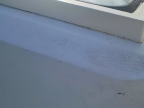 TuusSport Scorpio 475