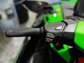 Kawasaki Ultra 310 LX-S