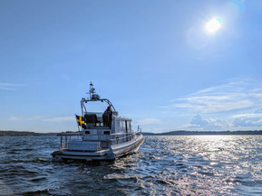 Paragon 31 Flybridge