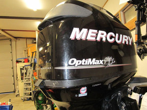 Mercury Optimax