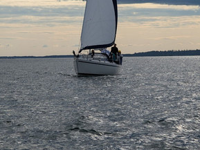 Finn Express 83