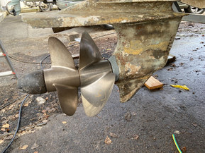 Tristan 315 Flybridge