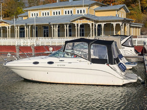 Sea Ray 260 Sundancer