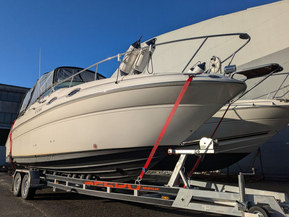 Sea Ray 260 Sundancer