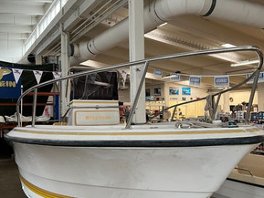 Four Winns Muu malli