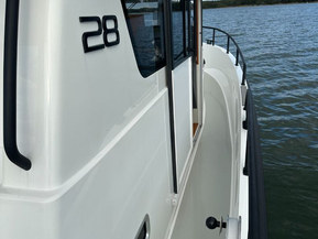 Sargo 28