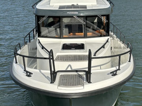 Sargo 28