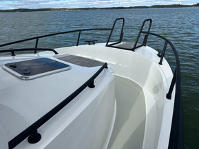 Sargo 28