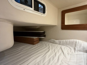 Sea Ray 265 Sundancer