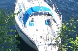 Finn 26