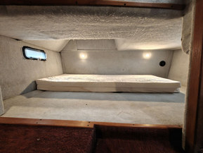 Regal 255 XL Ambassador