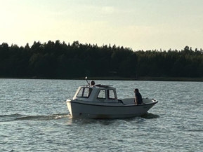 Merivene 810 DL