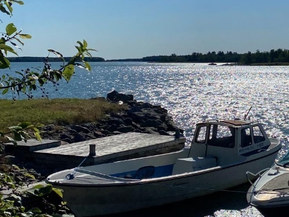 Merivene 810 DL