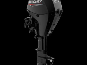 Mercury F 25