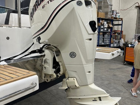 Evinrude 