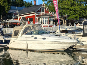 Sea Ray 260 Sundancer