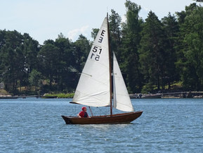 Göteborgs eka Other