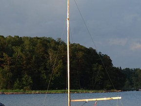 Göteborgs eka Other