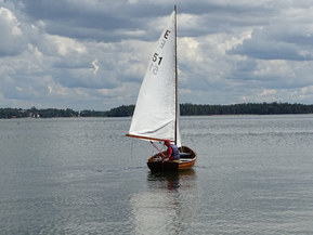 Göteborgs eka Other